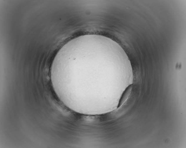 X0000091330187200709071205