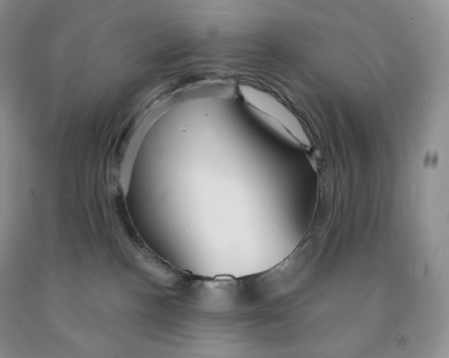 X0000091330188200709071205
