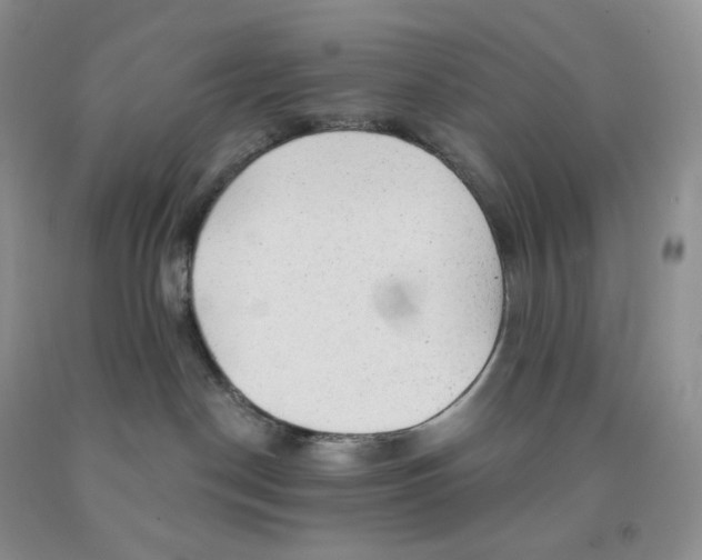 X0000091330190200709071205