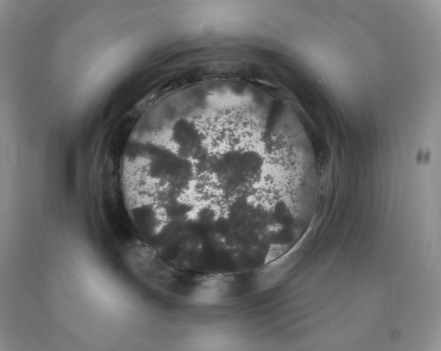 X0000091330191200709071205