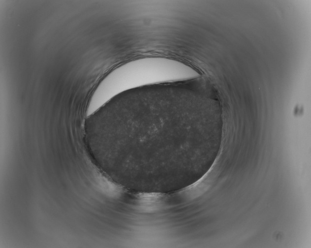 X0000091330192200709071205