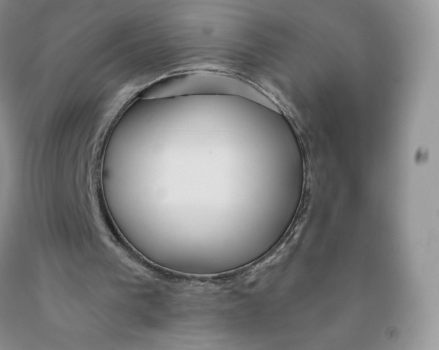 X0000091330193200709071204