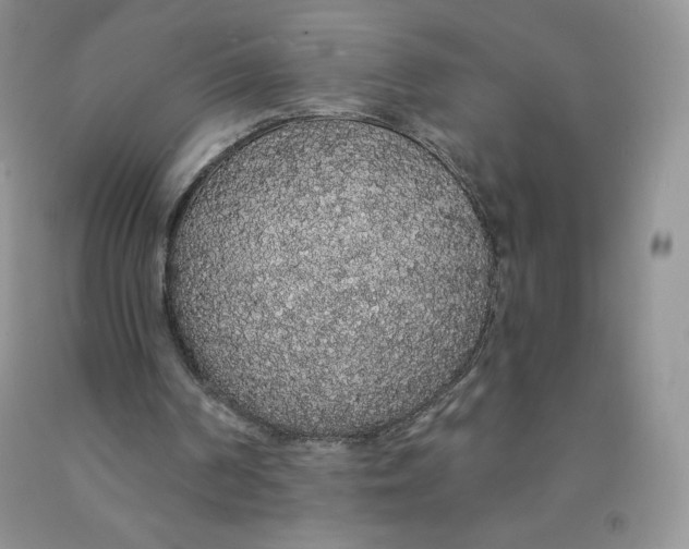 X0000091330194200709071204