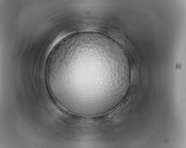 X0000091330195200709071204
