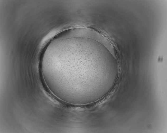 X0000091330197200709071204
