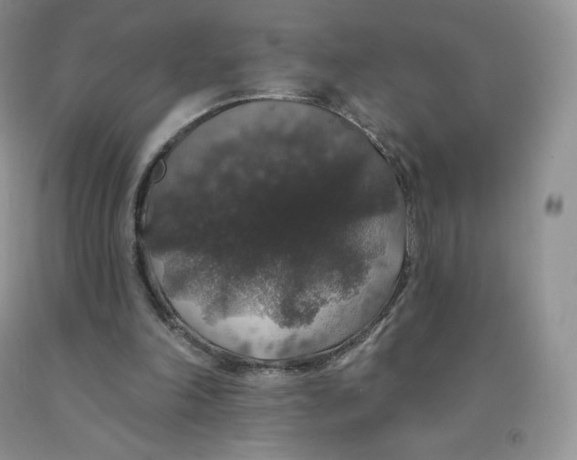 X0000091330198200709071204