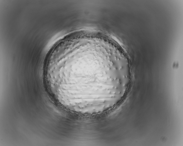X0000091330199200709071204