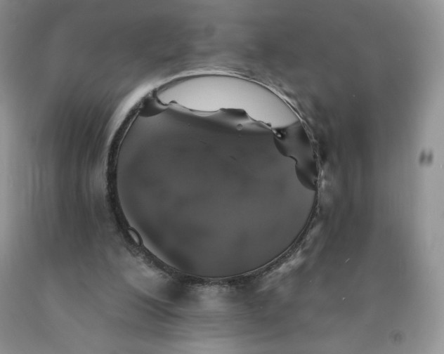 X0000091330200200709071204