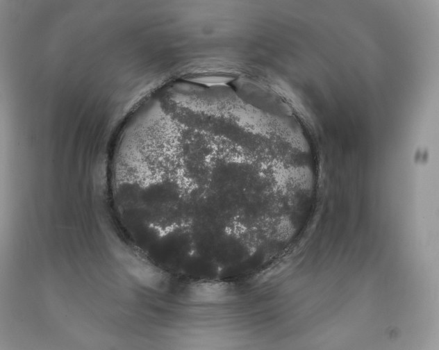 X0000091330202200709071204