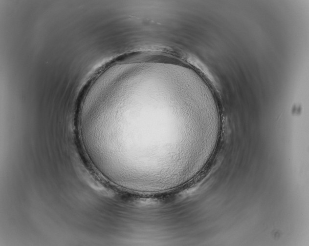 X0000091330203200709071204