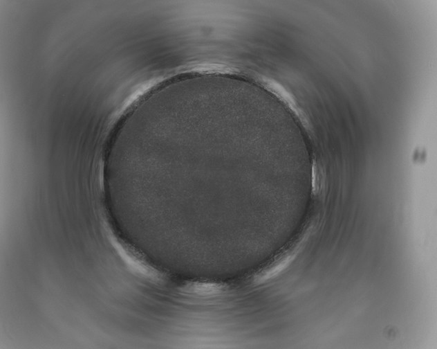 X0000091330205200709071204