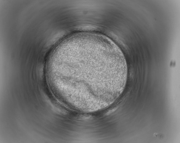 X0000091330206200709071204