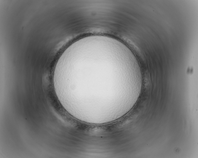 X0000091330208200709071204