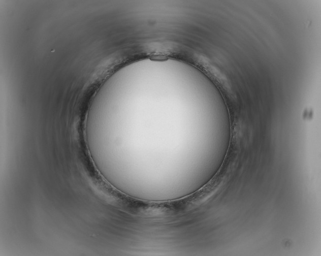 X0000091330209200709071204