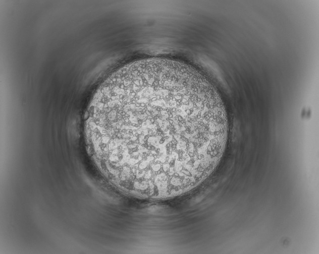 X0000091330210200709071204