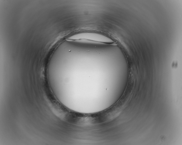 X0000091330212200709071204