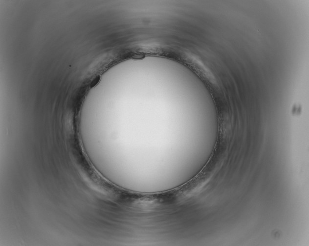 X0000091330213200709071204