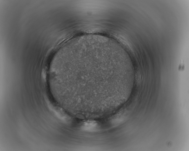 X0000091330214200709071204