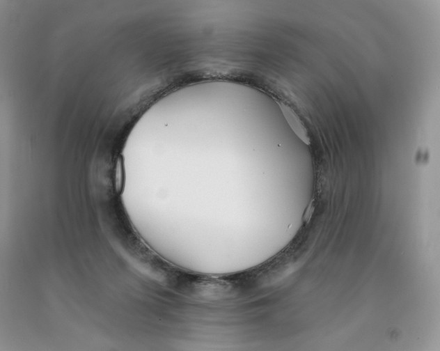 X0000091330215200709071204