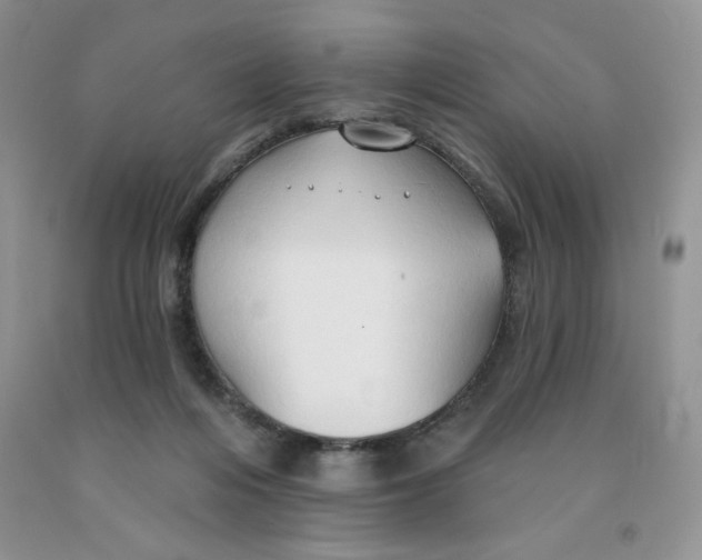 X0000091330216200709071204