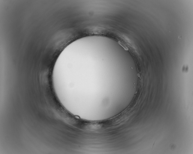 X0000091330217200709071204