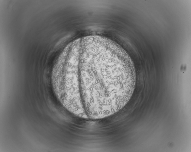 X0000091330218200709071204