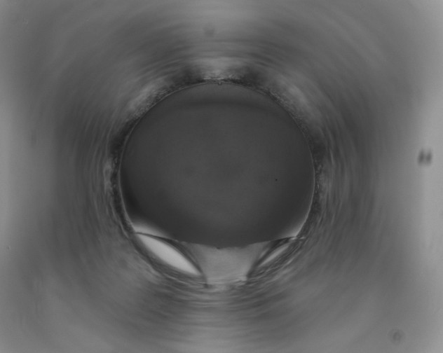 X0000091330219200709071204