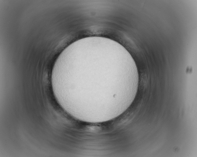 X0000091330220200709071204