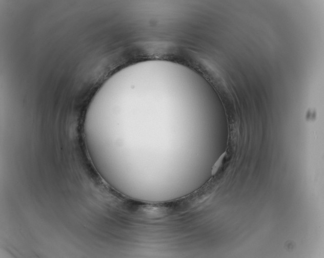 X0000091330221200709071204