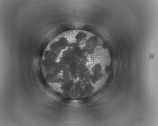 X0000091330222200709071204