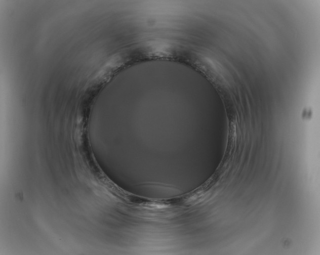X0000091330223200709071204