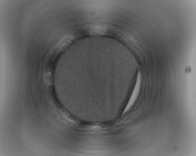 X0000091330224200709071204