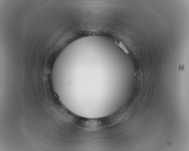 X0000091330225200709071204