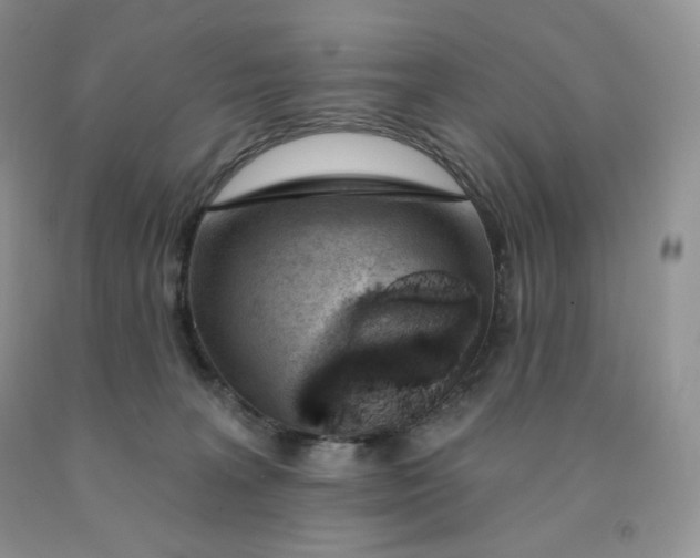 X0000091330227200709071204