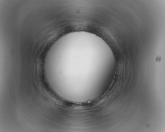 X0000091330228200709071204