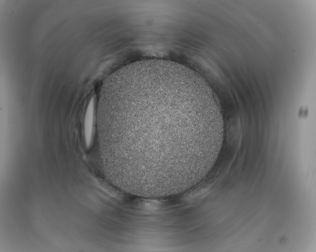X0000091330229200709071204