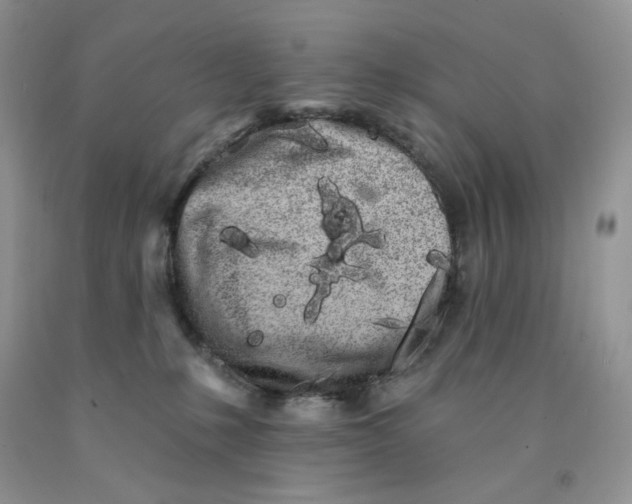 X0000091330231200709071203