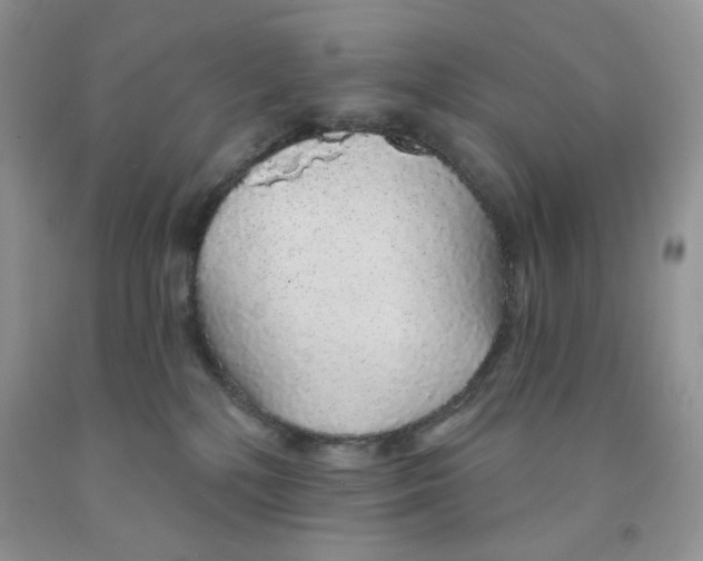 X0000091330232200709071203