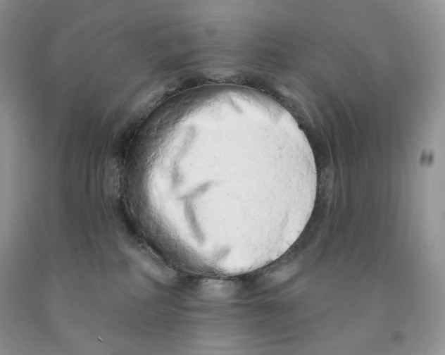 X0000091330234200709071203