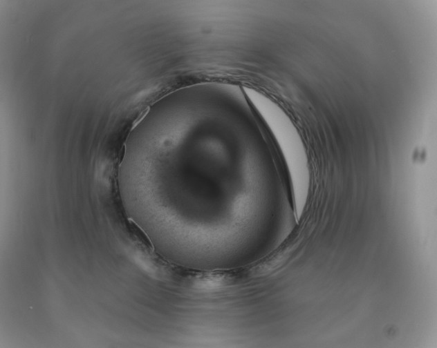 X0000091330235200709071203