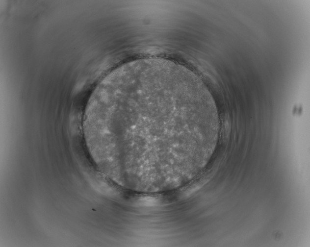 X0000091330236200709071203