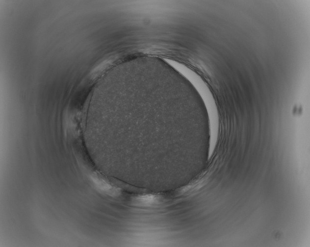 X0000091330237200709071203
