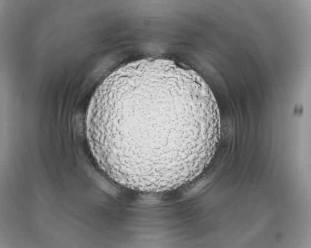 X0000091330238200709071203