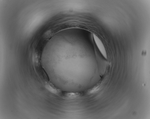 X0000091330239200709071203