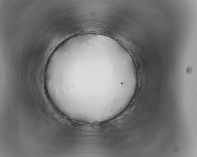 X0000091330241200709071203