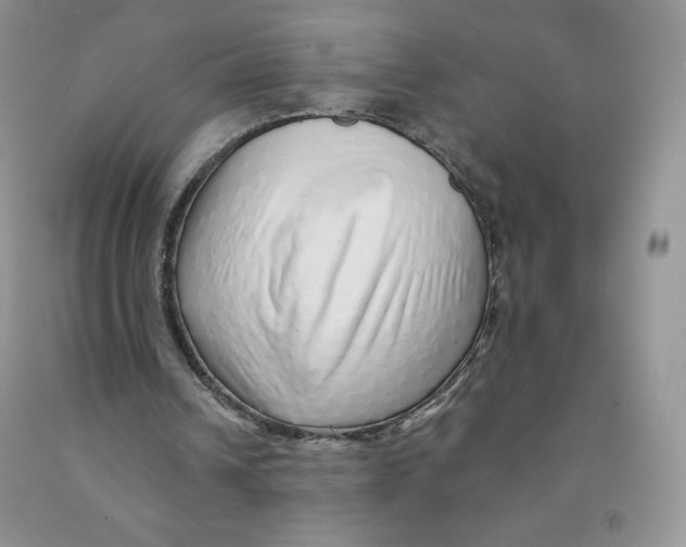 X0000091330242200709071203