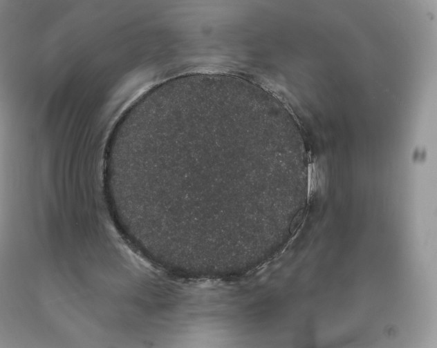 X0000091330243200709071203