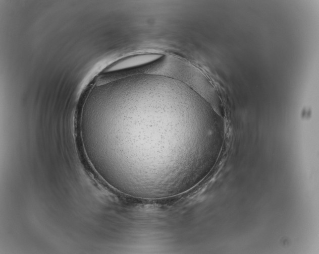 X0000091330244200709071203