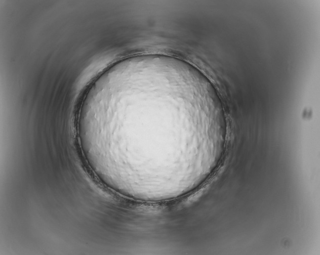 X0000091330245200709071203