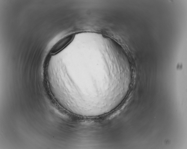 X0000091330246200709071203